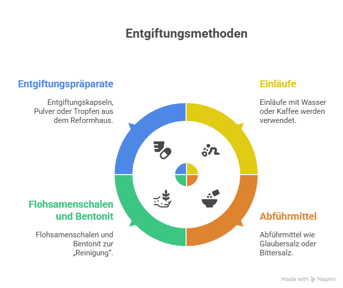 Diagramm mit gängigen Methoden zur Darmentgiftung und Darmsanierung: Einläufe mit Wasser oder Kaffee, Abführmittel wie Glaubersalz oder Bittersalz, Flohsamenschalen und Bentonit zur Reinigung sowie Detox-Kapseln, Pulver und Tropfen aus dem Reformhaus – häufig verwendete Maßnahmen zum Darm entschlacken.